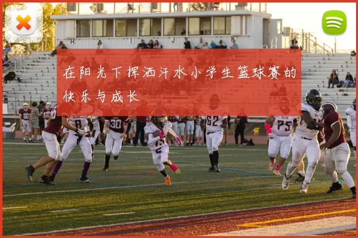 在阳光下挥洒汗水小学生篮球赛的快乐与成长