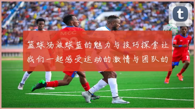 篮球场放球蓝的魅力与技巧探索让我们一起感受运动的激情与团队的力量