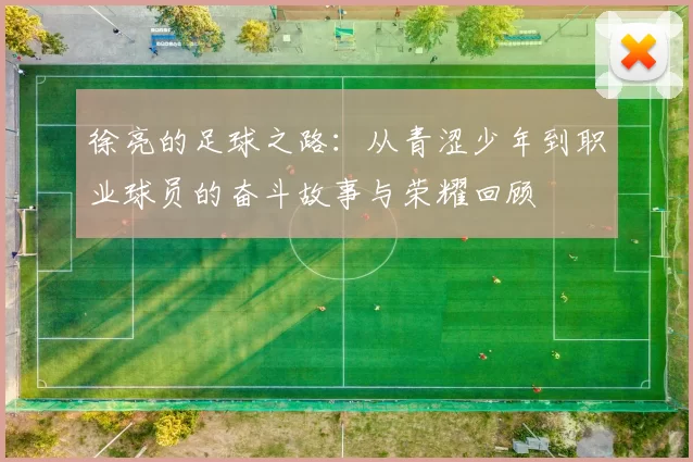 徐亮的足球之路：从青涩少年到职业球员的奋斗故事与荣耀回顾