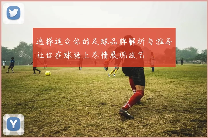 选择适合你的足球品牌解析与推荐让你在球场上尽情展现技艺
